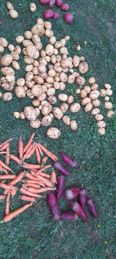Organic Family Farm 호텔 자블야크 외부 사진