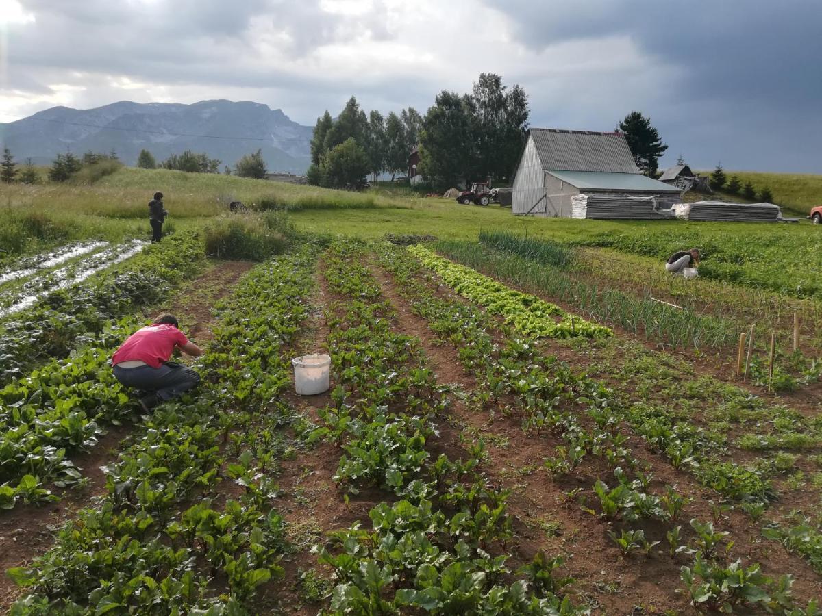 Organic Family Farm 호텔 자블야크 외부 사진