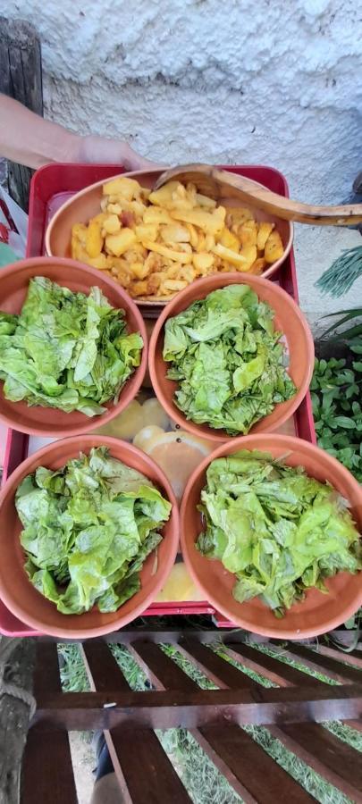 Organic Family Farm 호텔 자블야크 외부 사진