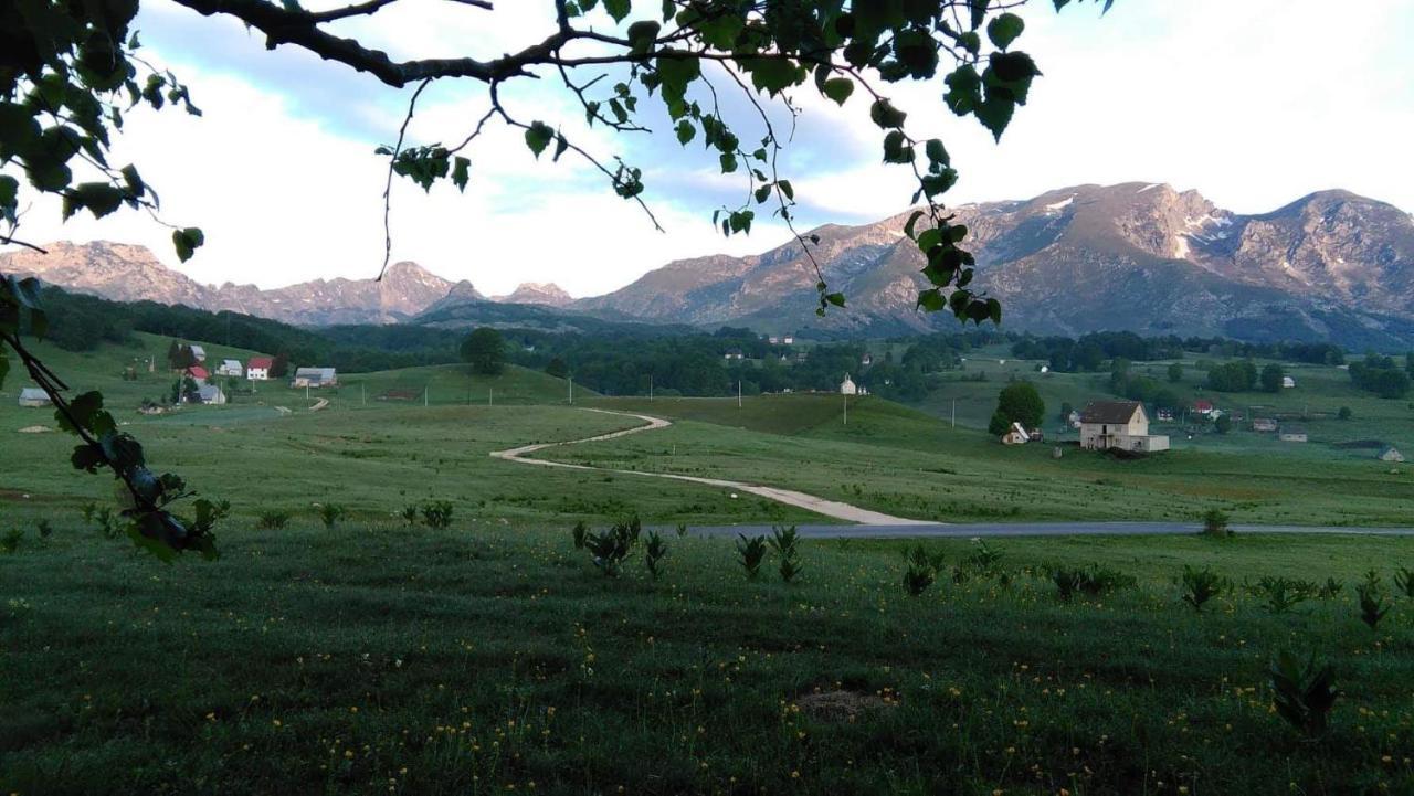 Organic Family Farm 호텔 자블야크 외부 사진