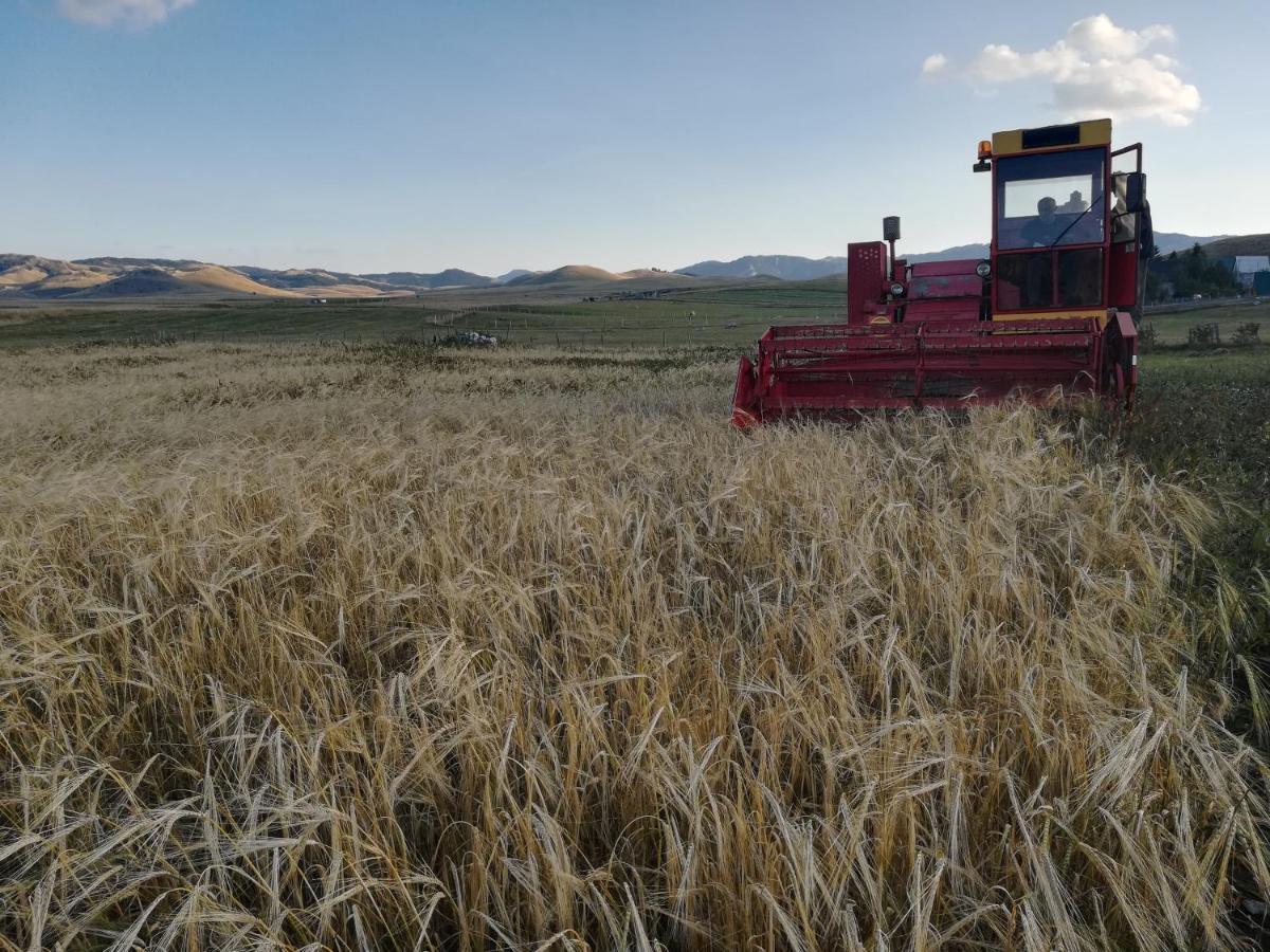 Organic Family Farm 호텔 자블야크 외부 사진
